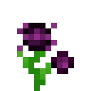 额外植物学（ExtraBotany）-蕴魔瑾.png