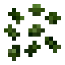 樱（Sakura）-啤酒花.png