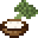 潘马斯农场（Pam's HarvestCraft）-浸西兰花.png