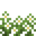 潘马斯农场（Pam's HarvestCraft）-香草果园.png
