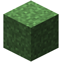自然（Natura）-修饰草地.png