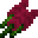 潘马斯农场（Pam's HarvestCraft）-苋菜.png