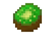 Kiwi 封面.jpg