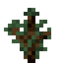 32px link=