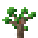 暮色森林（The Twilight Forest）-暮色橡树树苗.png