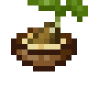 潘马斯农场（Pam's HarvestCraft）-种子汤.png
