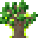暮色森林（The Twilight Forest）-高大暮色橡树树苗.png