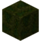 32px link=