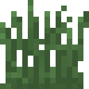 暮色森林（The Twilight Forest）-林地草.png
