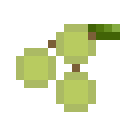 潘马斯农场（Pam's HarvestCraft）-橄榄.png