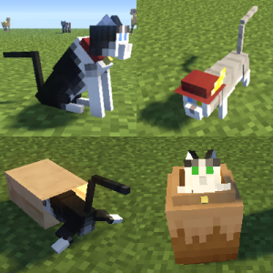 猫（Nyanko）1.png