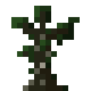 暮色森林（The Twilight Forest）-苍穹树树苗.png
