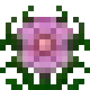 魔戒（The Lord of the Rings Mod）-木槿.png