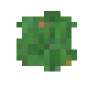 暮色森林（The Twilight Forest）-暮色森林苔藓.png