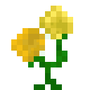 额外植物学（ExtraBotany）-双子兰.png