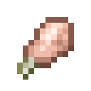 潘马斯农场（Pam's HarvestCraft）-生鸭肉.png