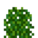潘马斯农场（Pam's HarvestCraft）-荫蔽菜园.png