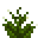 魔戒（The Lord of the Rings Mod）-烟斗草（植物）.png