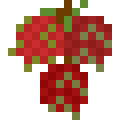 潘马斯农场（Pam's HarvestCraft）-红毛丹.png