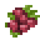潘马斯农场（Pam's HarvestCraft）-树莓.png