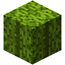 自然（Natura）-树形仙人掌（方块）.png
