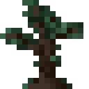 暮色森林（The Twilight Forest）-黑树树苗.png