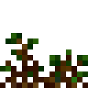 潘马斯农场（Pam's HarvestCraft）-大地果园.png