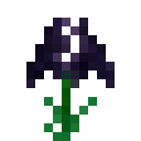 魔戒（The Lord of the Rings Mod）-黑菖蒲.png