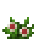 潘马斯农场（Pam's HarvestCraft）-洋麻.png