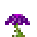 植物魔法（Botania）-紫色荧光花.png