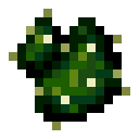 潘马斯农场（Pam's HarvestCraft）-烤仙人掌.png