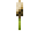 潘马斯农场（Pam's HarvestCraft）-小米.png