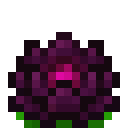 额外植物学（ExtraBotany）-星移莲.png