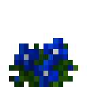 潘马斯花园-蓝色花.png