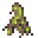 暮色森林（The Twilight Forest）-活根.png