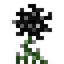 植物魔法（Botania）-黑色荧光花.png
