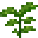 潘马斯农场（Pam's HarvestCraft）-草茎果园.png