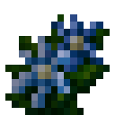 潘马斯花园-淡蓝色花.png