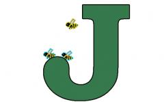 JEI Bees-封面.jpg