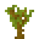 32px link=