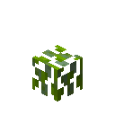 自然（Natura）-黑莓灌木丛.png