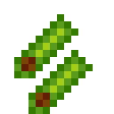 潘马斯农场（Pam's HarvestCraft）-猪肉生菜卷.png