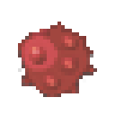 自然（Natura）-树形仙人掌果实.png