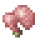 潘马斯农场（Pam's HarvestCraft）-生兔肉.png