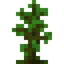 32px link=