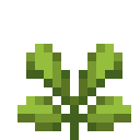 潘马斯农场（Pam's HarvestCraft）-薄荷果园.png