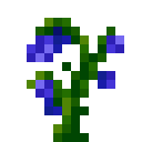 自然（Natura）-风信子.png