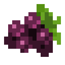 潘马斯农场（Pam's HarvestCraft）-接骨木.png
