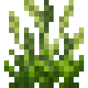 潘马斯农场（Pam's HarvestCraft）-多风菜园.png