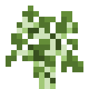 32px link=